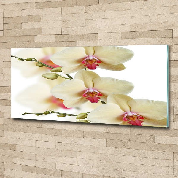 Cuadro metacrilato horizontal Orquídea
