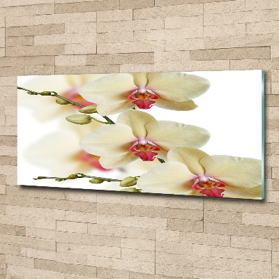 Cuadro metacrilato horizontal Orquídea