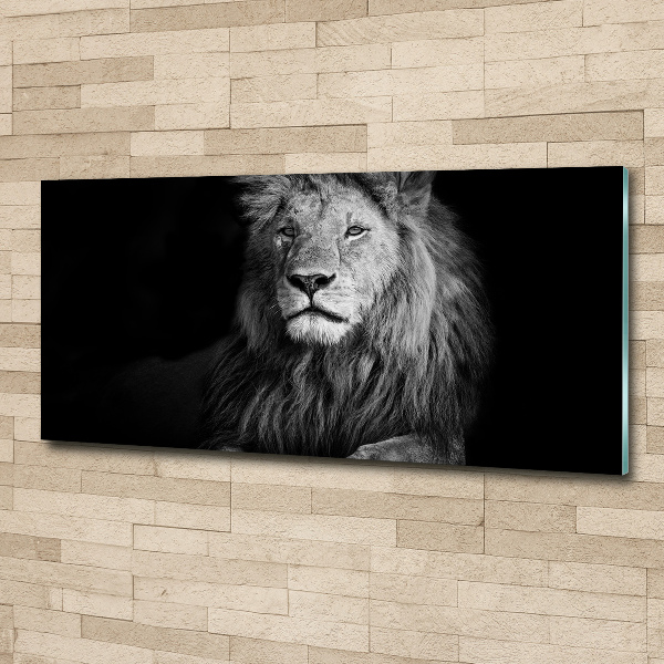 Cuadro metacrilato horizontal León