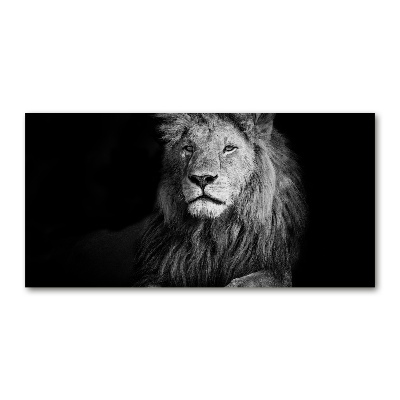 Cuadro metacrilato horizontal León