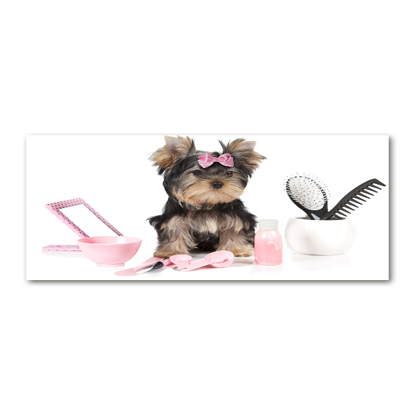 Cuadro metacrilato horizontal Cosméticos de Yorkshire