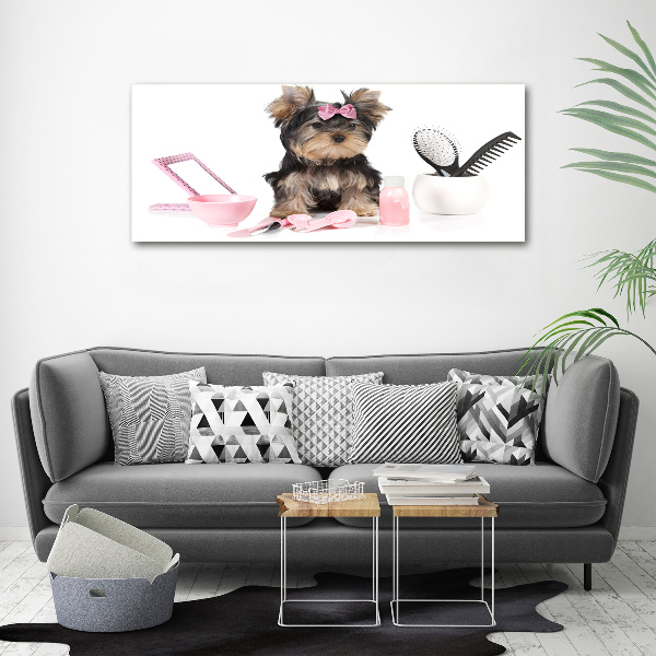 Cuadro metacrilato horizontal Cosméticos de Yorkshire