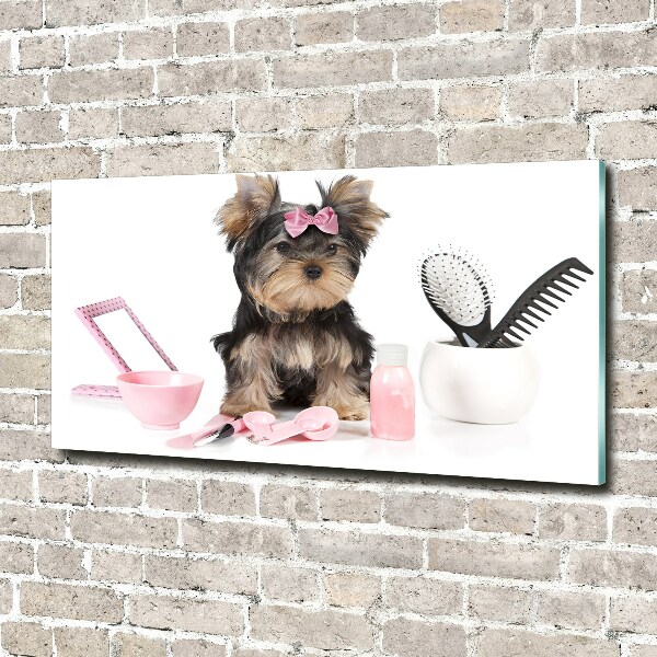 Cuadro metacrilato horizontal Cosméticos de Yorkshire