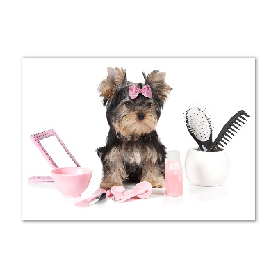 Cuadro metacrilato horizontal Cosméticos de Yorkshire