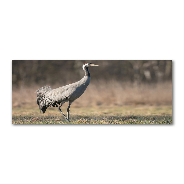 Foto en metacrilato horizontal Garza