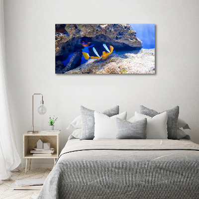 Cuadro acrílico horizontal Pez tropical