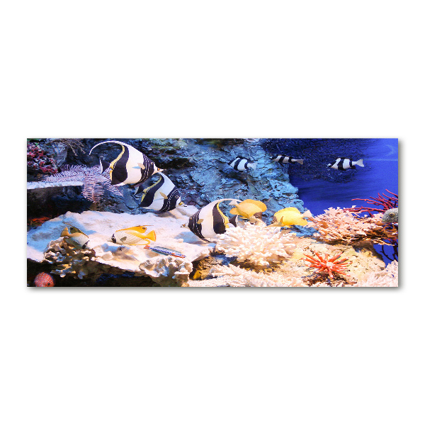 Pintura en acrílico horizontal Arrecife de coral