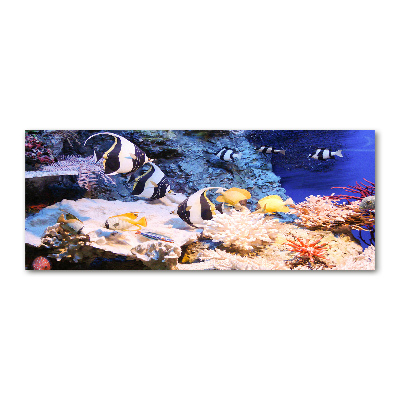Pintura en acrílico horizontal Arrecife de coral