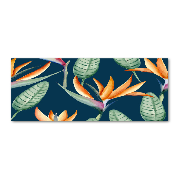 Foto en metacrilato horizontal Strelitzia reginae