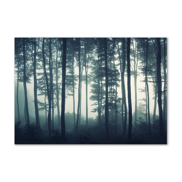 Pintura en acrílico horizontal Bosque en la niebla