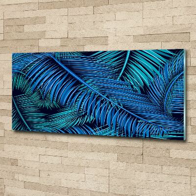 Obraz zdjęcie szkło akryl Liście palmy