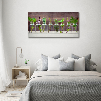 Pintura en acrílico horizontal Plantas en frascos