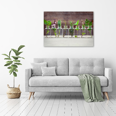 Pintura en acrílico horizontal Plantas en frascos