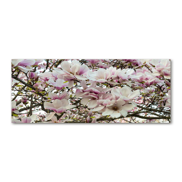 Cuadro metacrilato horizontal flores de magnolia