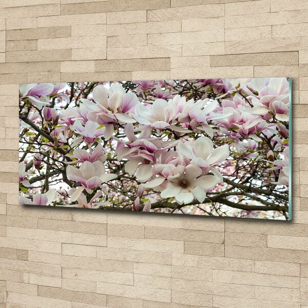 Cuadro metacrilato horizontal flores de magnolia