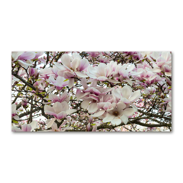 Cuadro metacrilato horizontal flores de magnolia