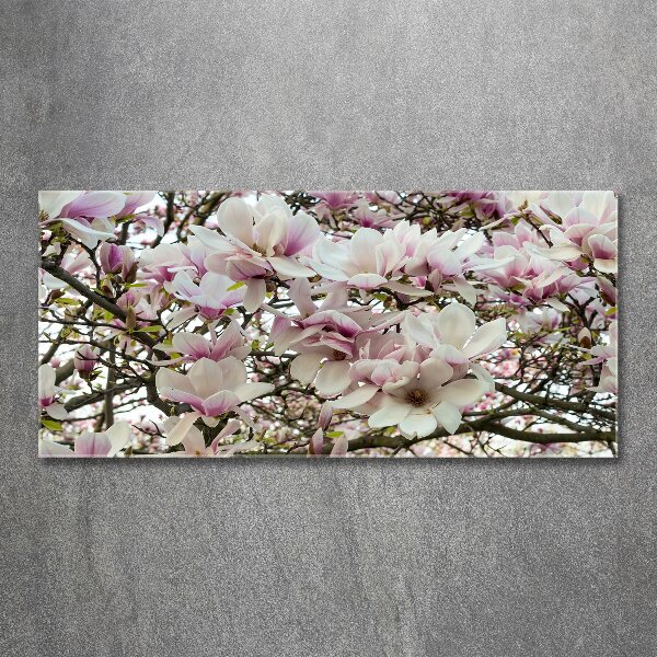 Cuadro metacrilato horizontal flores de magnolia