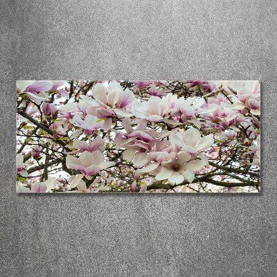 Cuadro metacrilato horizontal flores de magnolia