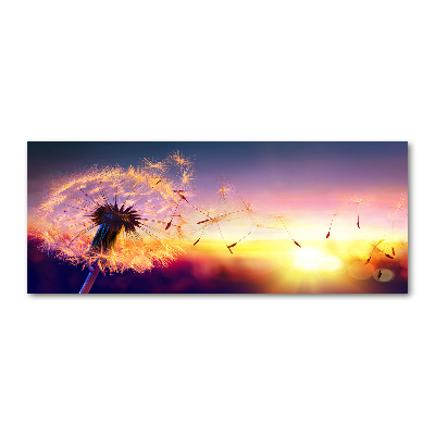 Foto en metacrilato horizontal Diente de león