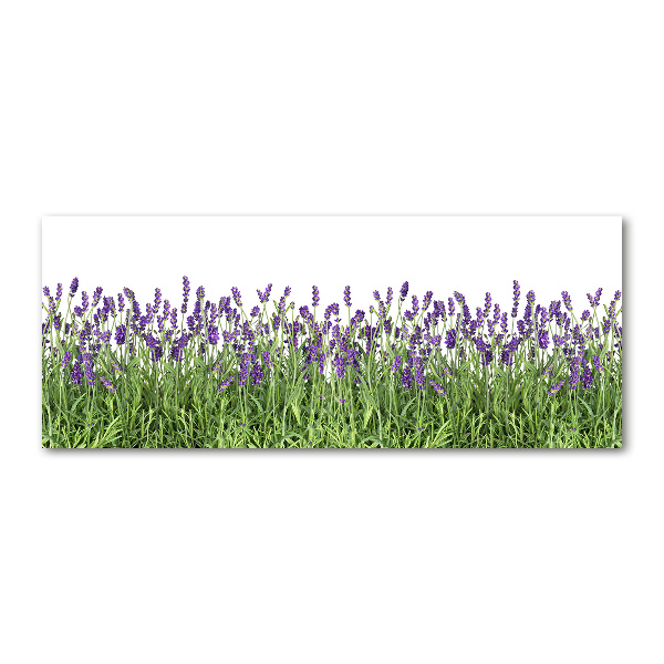 Cuadro metacrilato horizontal flores de lavanda