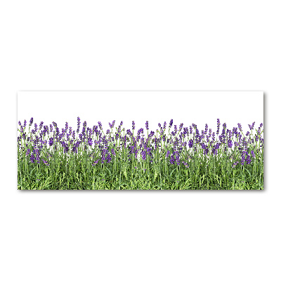 Cuadro metacrilato horizontal flores de lavanda