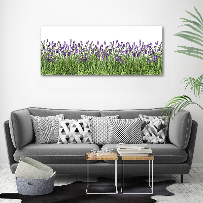 Cuadro metacrilato horizontal flores de lavanda