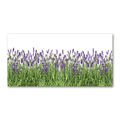 Cuadro metacrilato horizontal flores de lavanda
