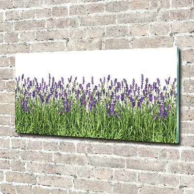 Cuadro metacrilato horizontal flores de lavanda