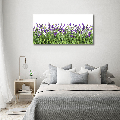 Cuadro metacrilato horizontal flores de lavanda
