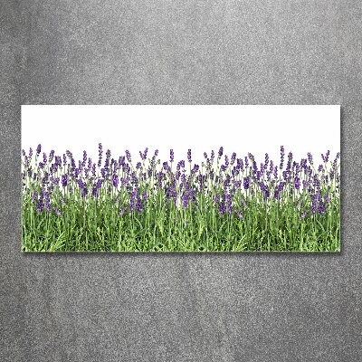 Cuadro metacrilato horizontal flores de lavanda