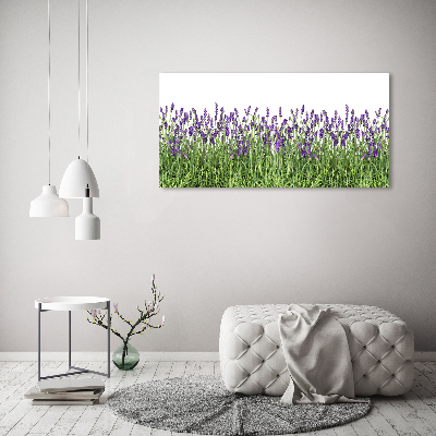 Cuadro metacrilato horizontal flores de lavanda