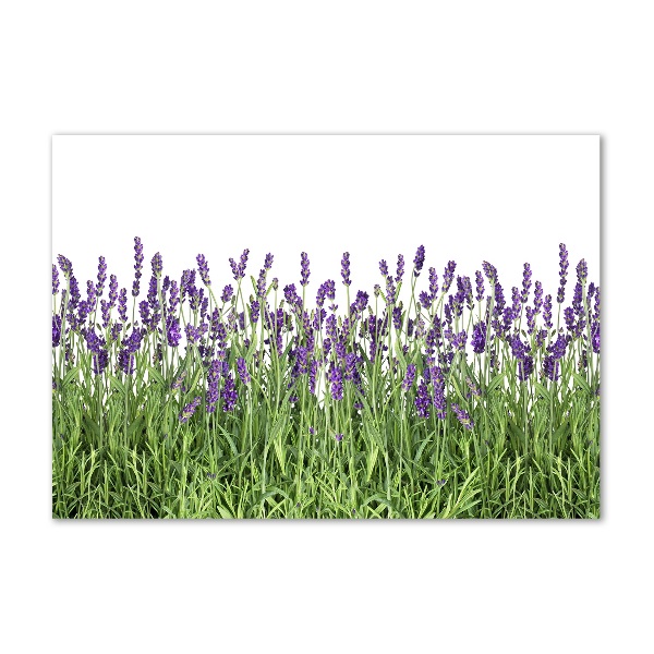 Cuadro metacrilato horizontal flores de lavanda