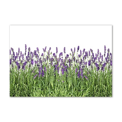 Cuadro metacrilato horizontal flores de lavanda