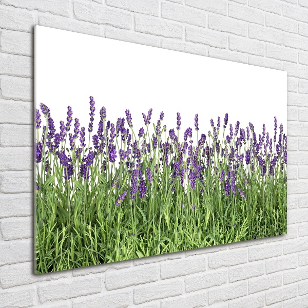 Cuadro metacrilato horizontal flores de lavanda