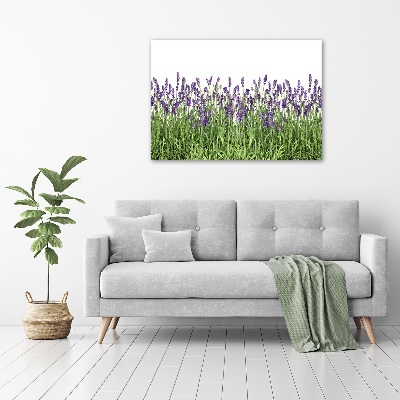 Cuadro metacrilato horizontal flores de lavanda