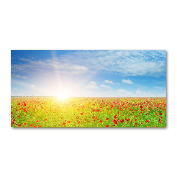 Pintura en acrílico horizontal Campo de amapolas