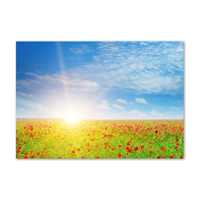 Pintura en acrílico horizontal Campo de amapolas