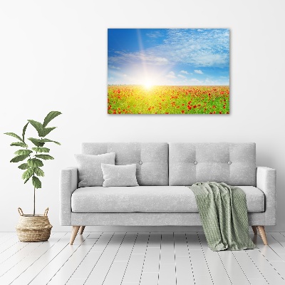 Foto obraz na ścianę akryl Pole maków
