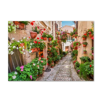 Cuadro acrílico horizontal calles italianas