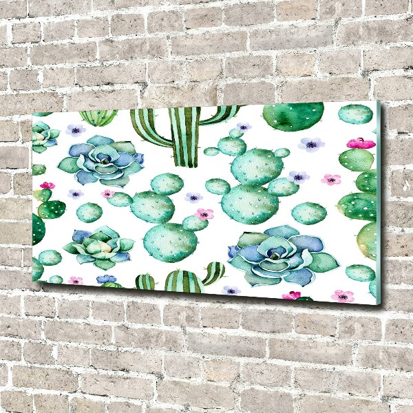 Foto en metacrilato horizontal Cactus