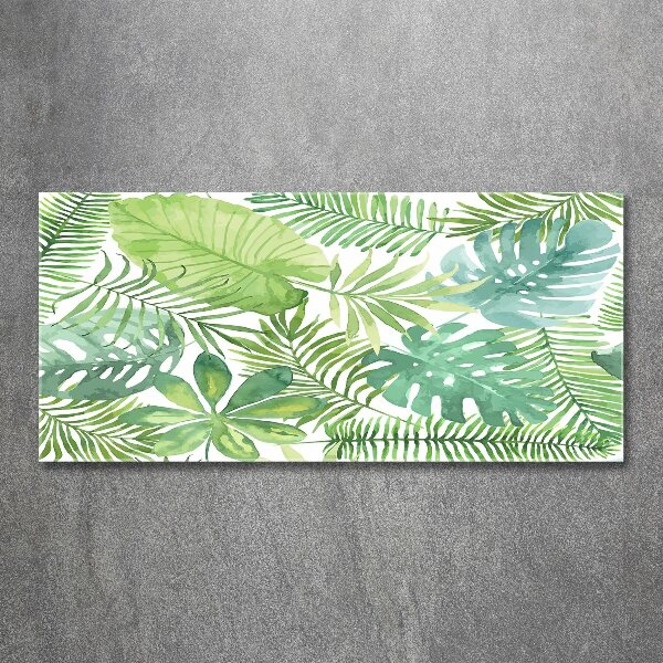 Cuadro metacrilato horizontal hojas tropicales