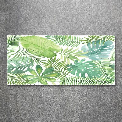 Cuadro metacrilato horizontal hojas tropicales