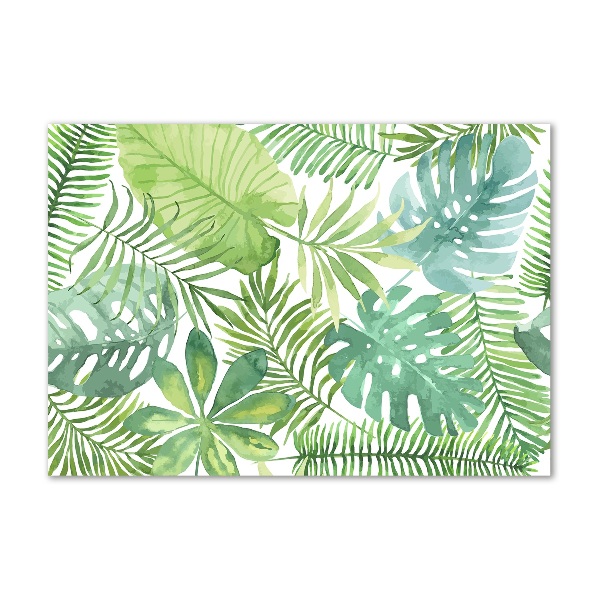 Cuadro metacrilato horizontal hojas tropicales