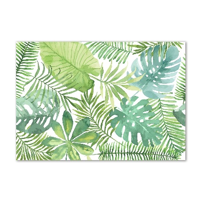 Cuadro metacrilato horizontal hojas tropicales