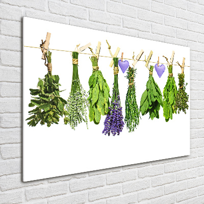 Foto en metacrilato horizontal Hierbas en una cuerda