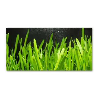 Cuadro metacrilato horizontal Césped