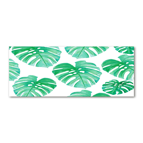 Obraz zdjęcie na ścianę akryl Monstera