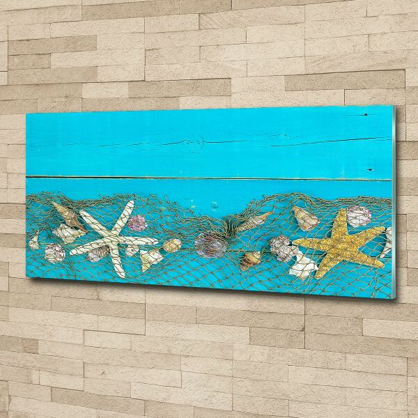 Foto en metacrilato horizontal Estrellas de mar y conchas