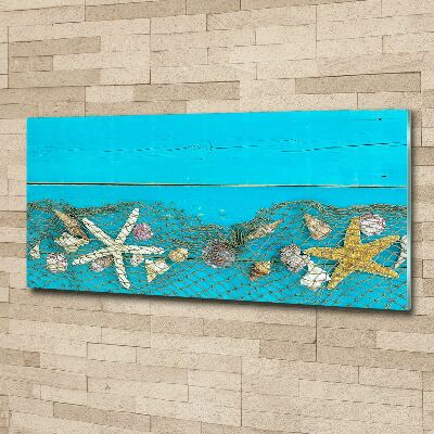 Foto en metacrilato horizontal Estrellas de mar y conchas