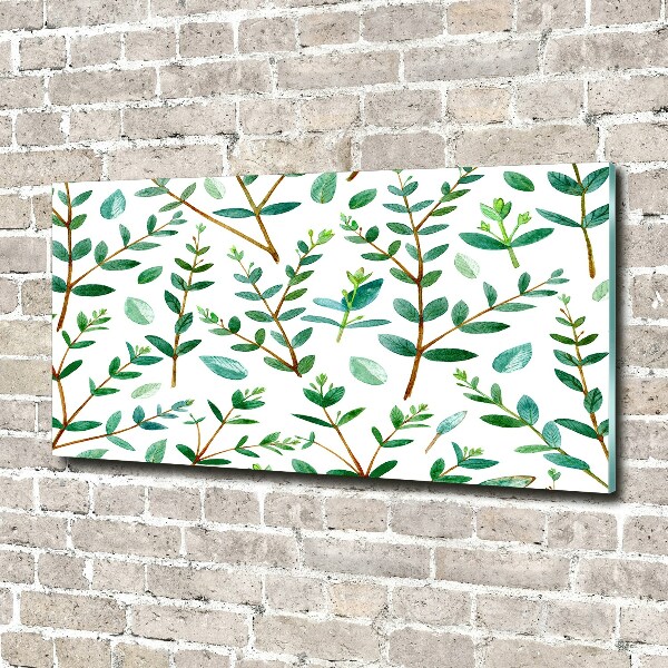 Cuadro acrílico horizontal Eucalipto